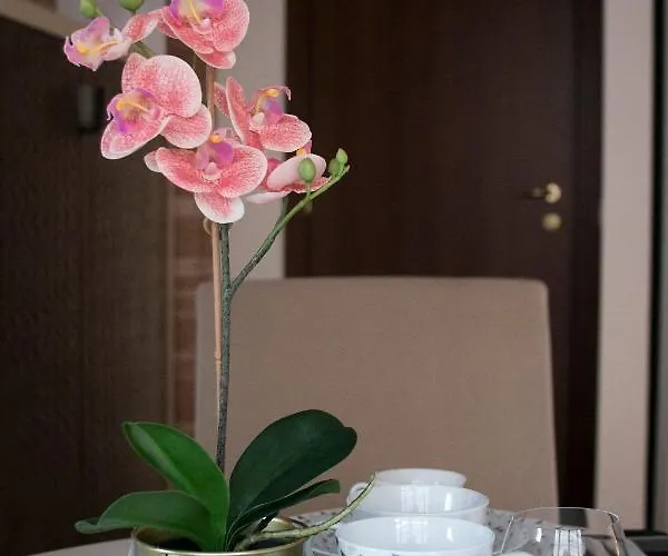 Apartamento Morgan Roma