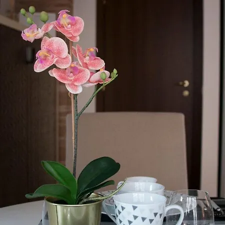 Appartamento Morgan Roma